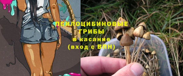 бошки Верея