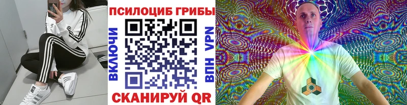 Купить  Лермонтов  Галлюциногенные грибы Magic Shrooms 